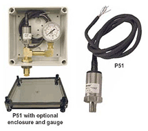 Stainless Steel Pressure Transmitter P51 Series